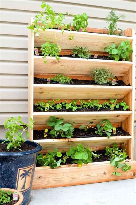 Vertical Garden How To Make